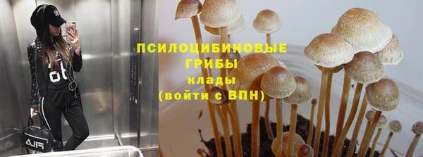 мет Аркадак