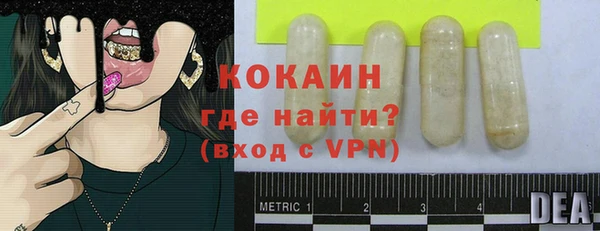 ешки Арсеньев