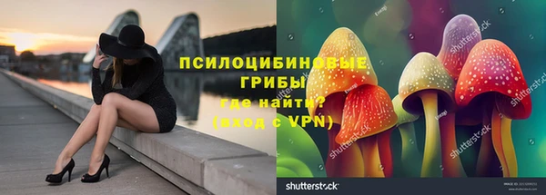ешки Арсеньев