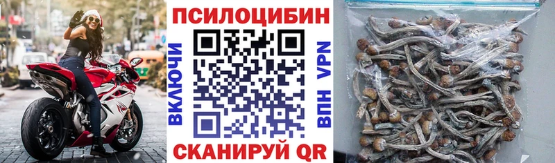 omg как войти  Щучье  Галлюциногенные грибы MAGIC MUSHROOMS 