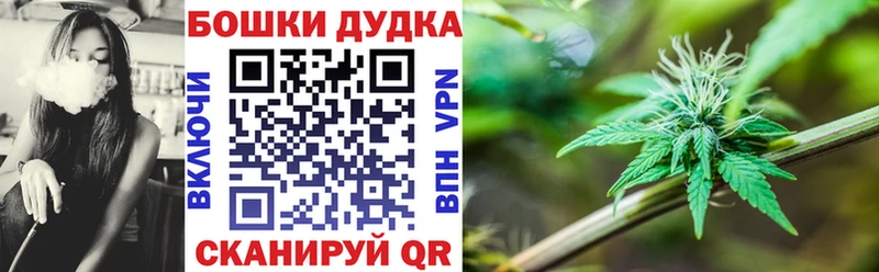 Конопля гибрид  Щучье 